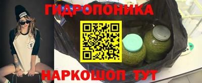 дмт Можга