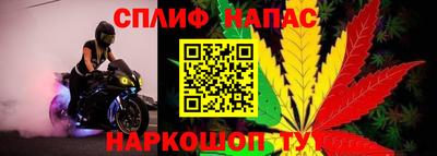 хмурый Моздок