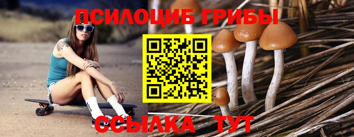 Галлюциногенные грибы Magic Shrooms Владимир